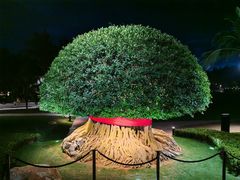 -海南清水湾莱佛士酒店