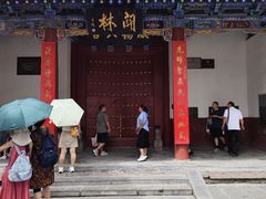 -关林