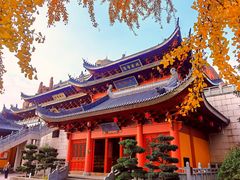 -上海东林寺(金山区)