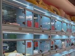 -FAELING PETS美天灵宠物(合生汇店)
