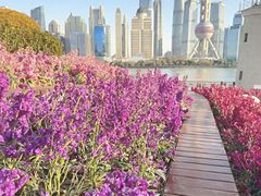 -北外滩滨江绿地