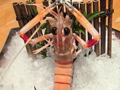 -水濑·日料放题(天河店)