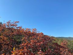 -北京西山国家森林公园