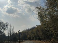 -南京市无想山景区