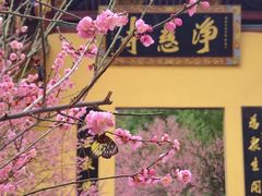 -龙岩森林水乡景区