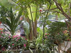 -山水茶艺馆·点心粤菜·30年老字号