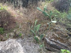 -丽江虎跳峡景区-售票处
