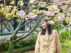 -庐山风景区花径公园