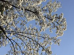 -武汉大学图书馆·文理学部总馆