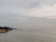 -湖南东洞庭湖国家级自然保护区