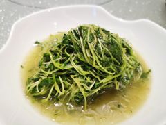 -新天明砂锅鱼头煲