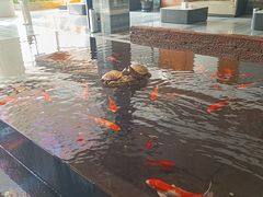-大和洗浴休闲会所(宏大广场店)