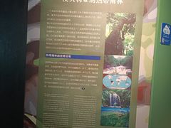 -上海海洋水族馆