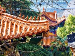 -宝通禅寺