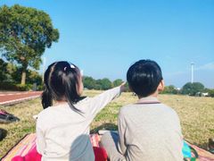 -西京湾花海