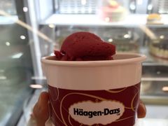 -哈根达斯(国瑞店)