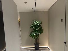 -W·24H茶楼·棋牌·掼蛋(望京店)