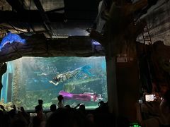 -嘉兴海底世界