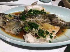 -大榕树下顺德菜(融创茂店)