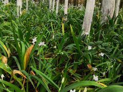 -桤木河湿地公园