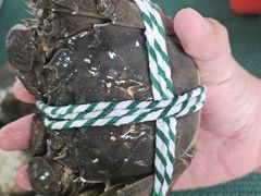 -丫丫蟹庄·苏式园林农家乐·阳澄湖大闸蟹(阳澄湖莲花岛店)