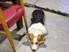 -阿尔法海鲜排档(爱琴海店)
