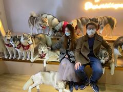 -Husky Go! 哈士奇体验馆·宠物咖啡厅狗咖