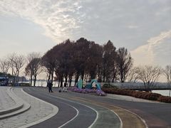 -贡湖湾湿地公园