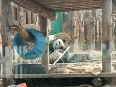 -大连森林动物园