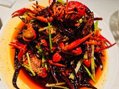 经典麻小蓝龙虾-红盔甲·小龙虾(天钥桥店)