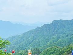 -朱雀国家森林公园