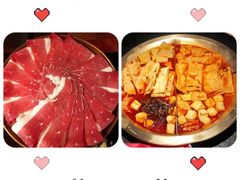 -九鼎轩脆毛肚火锅(南京东路店)