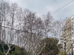 -徐家汇源景区-衡山公园