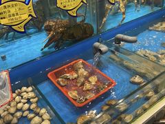 -海铺·渔家虾水饺(皇姑店)