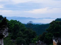 -杨家堂村