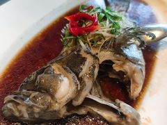 清蒸珍珠斑-宝燕壹号(徐汇店)