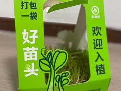 -海底捞火锅(中商百货夜宵主题店)