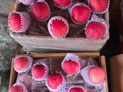 -菜园坝水果市场