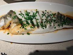 -船歌·鱼水饺青岛菜(金狮广场店)