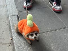-安福路