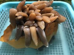 -南沙十九涌渔人码头-南门