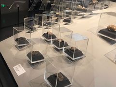 -北京周口店北京人遗址博物馆