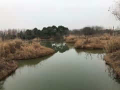 -梁鸿国家湿地公园