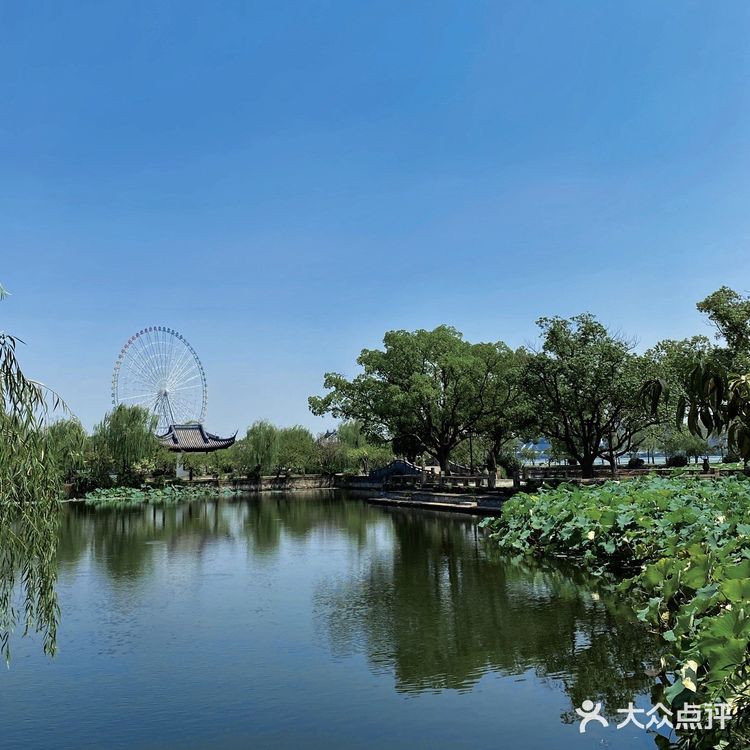 ✨无锡旅游攻略｜蠡园西施岛🦢情侣约会地