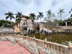 -美的鹭湖探索王国