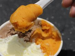 -Dip in Gelato(富民路店)