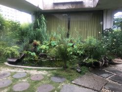 -罗亚帝·NASHOW纳秀形象设计