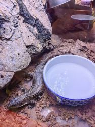 -酷嗒动物文化乐园(cutezoo西溪乐天城店)