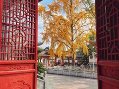 -上海东林寺(金山区)