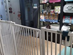 -东方名猫馆·英短金渐层布偶猫舍(环线广场1号楼店)